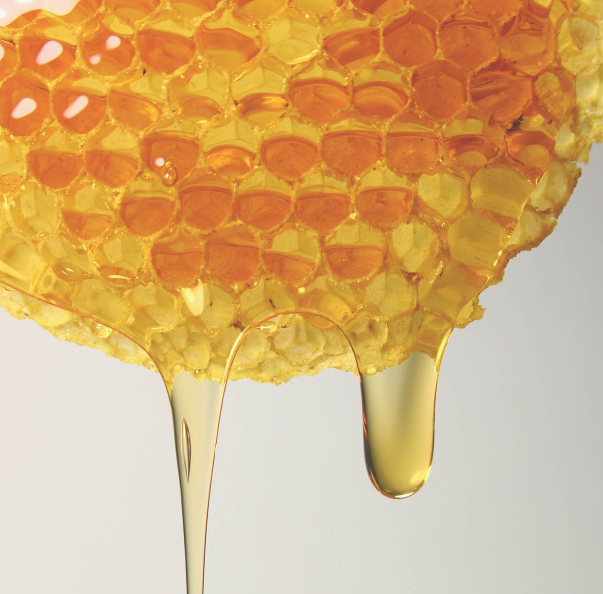 honig frisch von der wabe